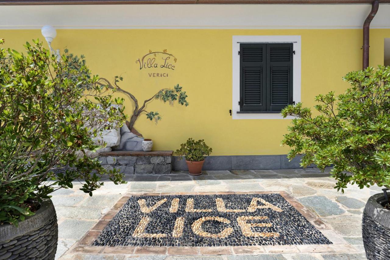 Villa Lice - Vigneto 卡萨察利古勒 外观 照片
